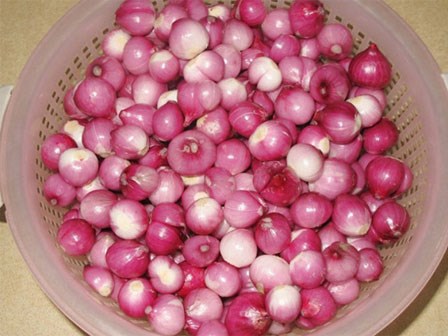 Tết này muốn hành muối giòn ngon xuất sắc thì nhớ chọn hành thế này
