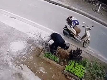 Clip: Mua sẵn chậu, nam thanh niên không quên 