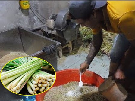 Hãi hùng sả xay trộn hóa chất