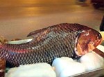 Ngư dân Vĩnh Long bắt được cá hô vàng nặng hơn 125 kg-3