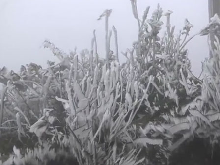 Mù Cang Chải lung linh sắc màu ruộng bậc thang mùa nước đổ-1