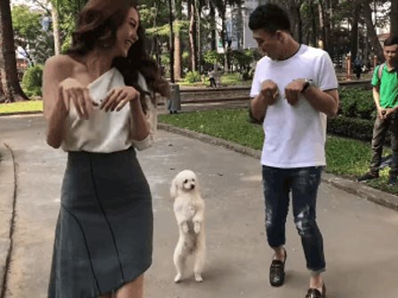 Clip: Đến Minh Hằng cũng bị Trấn Thành lây tính 