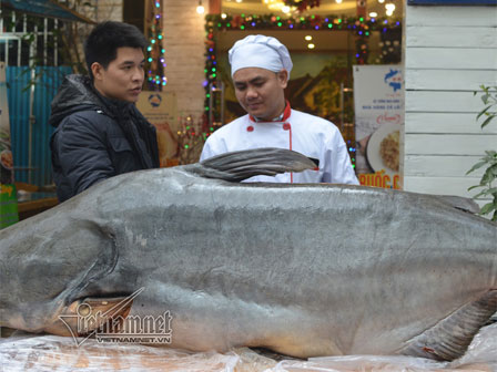 Thủy quái Vàm Nao và giai thoại loài cá giá bán chục cây vàng-5