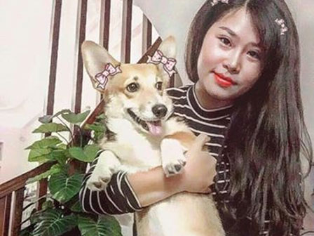 Chửi đổng 4.0: Cay cú vì chó nhà trúng bả chết, gia chủ đầu tư hẳn bảng led để khẩu nghiệp với láng giềng-4