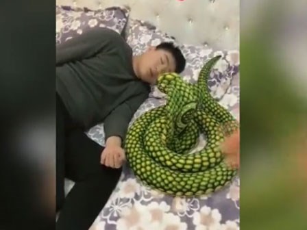 Khi lấy được một cô vợ thích đùa thì hậu quả sẽ như thế này đây