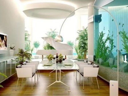 Những việc làm nhỏ có thể khiến gia chủ gặp họa trong năm mới