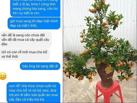 Cô nàng 27 tuổi dẫn người yêu về ra mắt dịp Tết, ép biếu nhà mình cây cảnh, giỏ quà Tết khiến chị em tranh cãi