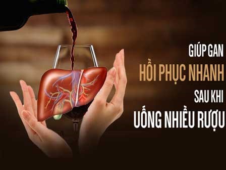 Lỡ uống nhiều rượu gây tổn thương gan, đây là cách giúp gan hồi phục hiệu quả