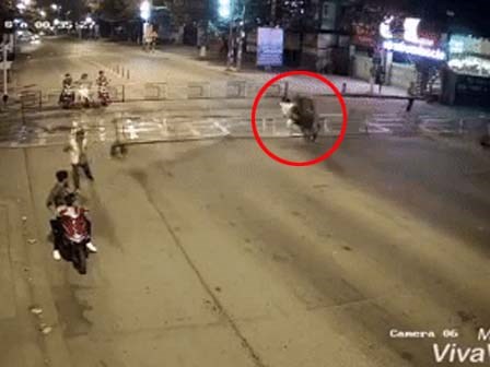 Vui Xuân đừng vui quá và pha phi rào bất thành của thanh niên hiếu động