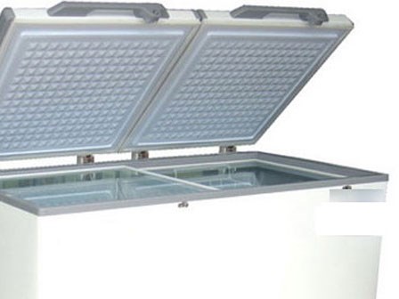 Chết trong tủ đông, hơn 1 năm sau mới được phát hiện