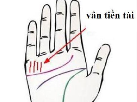 Có những đường chỉ tay này, bạn sẽ tiền nhiều tiêu cả đời không sợ hết