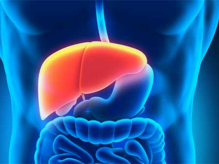 Khi 4 bộ phận cơ thể chuyển màu đen: Hãy thận trọng với dấu hiệu bệnh gan đang phát triển-5