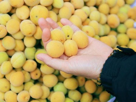 Chùa Hương thất thủ” ngày mùng 4 Tết, hàng vạn người chen chân chờ cáp treo lên động Hương Tích-11