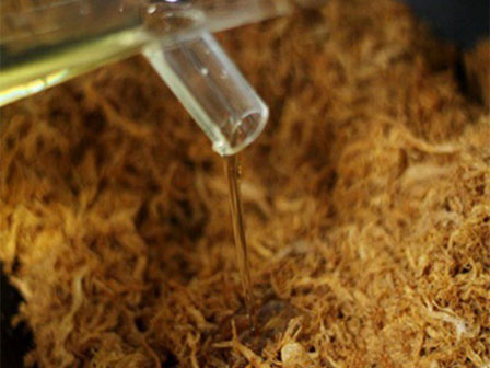 Chỉ cần thêm loại gia vị này món ruốc của bạn đã ngon hơn vạn lần-6