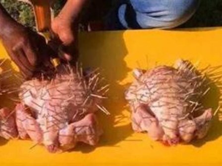 Cắm 30 cây tăm vào con gà rồi làm thêm vài bước nữa, bạn sẽ có món ngon tuyệt vời