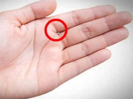 Nhìn vào lòng bàn tay mình và xem đi, nếu sở hữu đường chỉ tay như thế này, bạn đúng là của hiếm của thế giới, tài giỏi thông minh hơn người-6