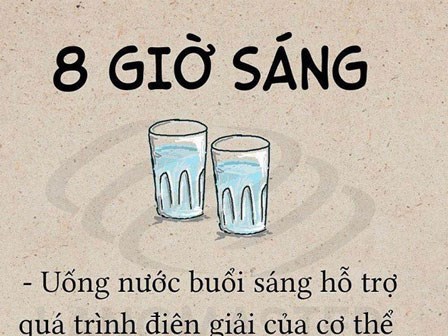 Đừng tưởng cứ uống hết 2 lít nước mỗi ngày là đủ, uống nước cũng cần phải có thời gian biểu hẳn hoi đấy