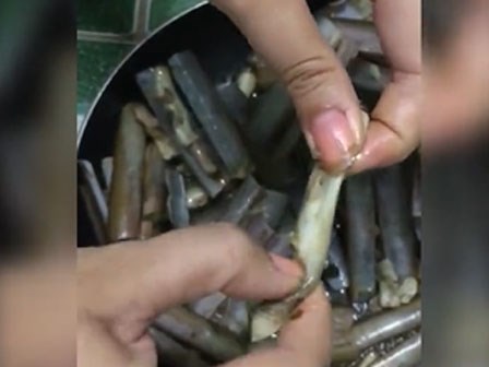 Kinh hoàng giòi nằm trong ruột ốc móng tay