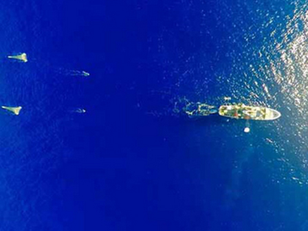 Nổi tiếng vì chuyên bới rác để tìm đồ ăn, cô gái lột trần sự thật về sự lãng phí của các chuỗi cửa hàng nổi tiếng-15