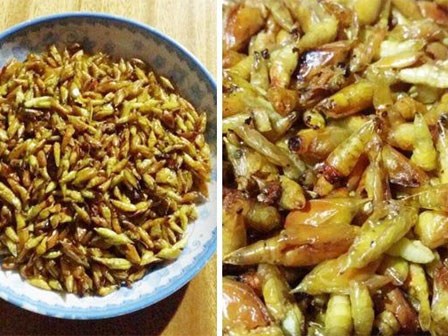 Khoe món ăn 30 năm mới dám thử, người sợ