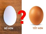 Trứng gà trị bệnh đường hô hấp-3