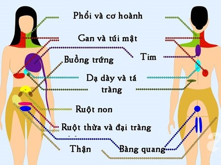 9 vị trí nếu thấy đau thì bạn nên cẩn trọng và đi khám càng sớm càng tốt