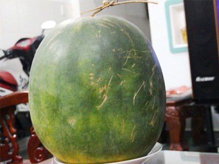 Cô gái phàn nàn vì nhà chồng tương lai đến ra mắt mua mỗi quả dưa hấu 10 nghìn, chị em khuyên mua túi kẹo cao su đáp lễ