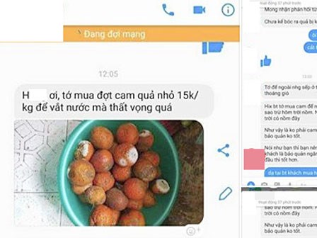 Chủ shop muốn vái khách mua cam, hồng xiêm chín không cho tủ lạnh, để ở ngoài 5 ngày bị thối rồi quay ra bắt đền