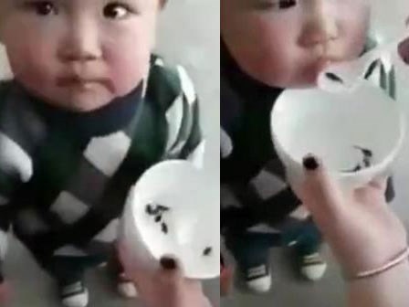 Mẹ trẻ đút nòng nọc sống, bò 'ngoe nguẩy' cho con nhỏ ăn để lớn nhanh dậy sóng MXH