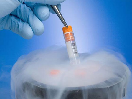 Đọc trộm nhật ký của vợ, chồng sốc nặng phát hiện nuôi con tu hú suốt 8 năm-2