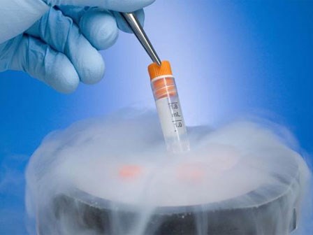 Kết quả xét nghiệm ADN lật tẩy bí mật kinh hoàng của vị bác sĩ chữa vô sinh