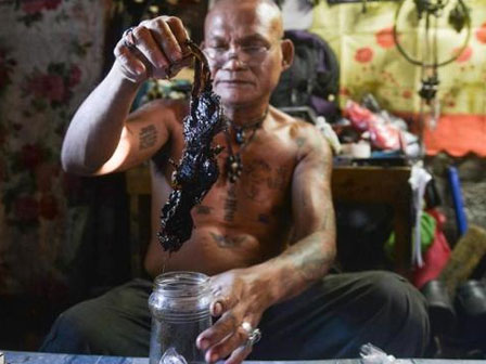 Tấm vải tàng hình khiến cô gái biến mất gây&nbsp;xôn xao cộng đồng mạng-1