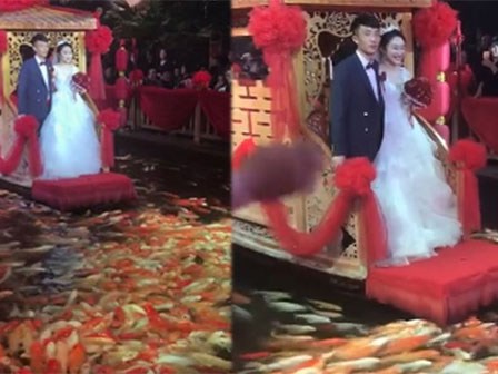 Đám cưới độc lạ có 1-0-2 khiến dân mạng dậy sóng