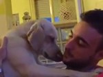 Video: Chú chó đi chơi cả đêm không về, thái độ hối lỗi khiến không ai nỡ phạt-1