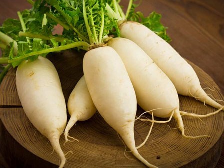 Những thực phẩm có chất độc tự nhiên - lưu ý khi chế biến