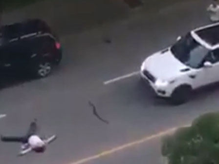 10 giây lên hình, bé trai khiến dân mạng cười bò đặt cho danh hiệu thánh diễn sâu-2