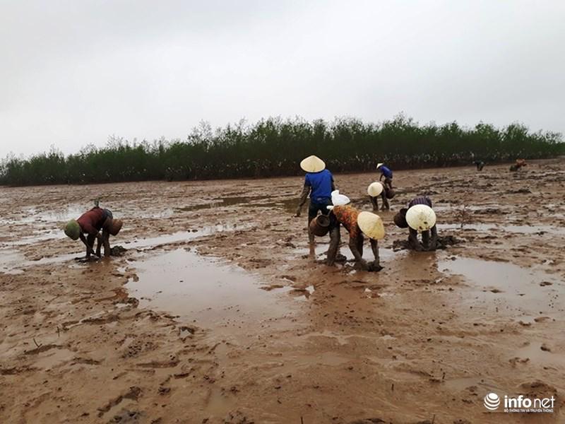 Loại cá kỳ dị nhất hành tinh được nhiều ngư dân săn bắt ở biển Thanh Hóa-2