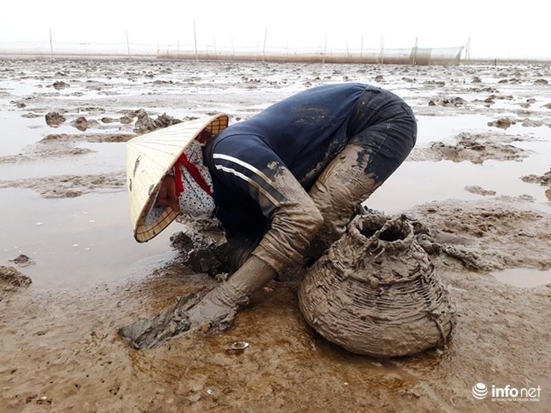 Loại cá kỳ dị nhất hành tinh được nhiều ngư dân săn bắt ở biển Thanh Hóa-3