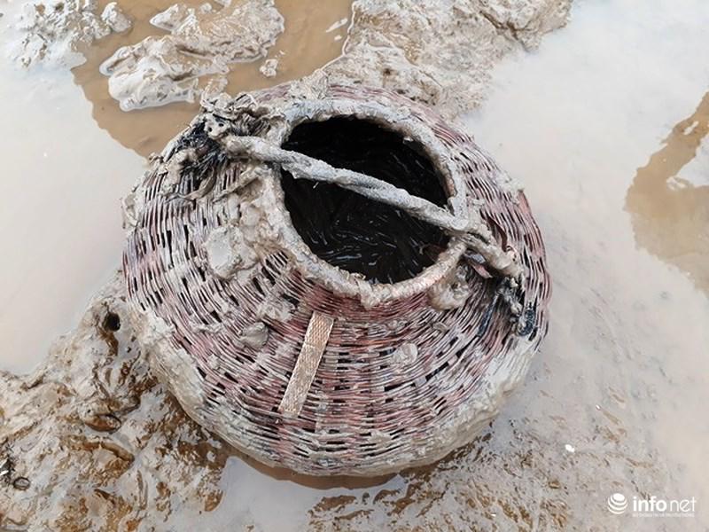 Loại cá kỳ dị nhất hành tinh được nhiều ngư dân săn bắt ở biển Thanh Hóa-5