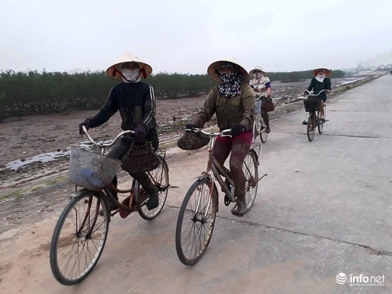 Loại cá kỳ dị nhất hành tinh được nhiều ngư dân săn bắt ở biển Thanh Hóa-7