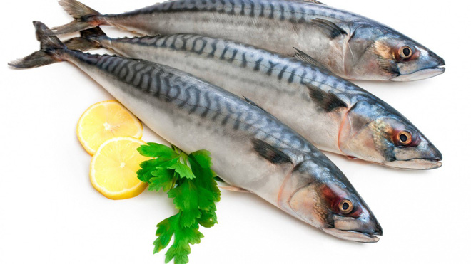 Danh sách 11 loại cá chứa nhiều chất dinh dưỡng có lợi cho sức khỏe-6