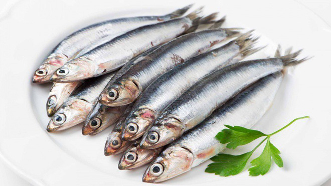 Danh sách 11 loại cá chứa nhiều chất dinh dưỡng có lợi cho sức khỏe-9