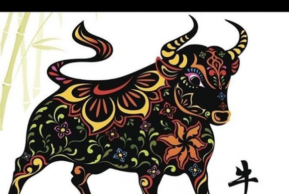 Những con giáp gặp hạn thái tuế, cả năm 2018 cẩn trọng họa thị phi-2