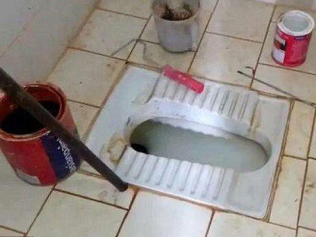 Bồn cầu nhà vệ sinh bị tắc, thợ sửa ống nước phát hiện thứ kinh hoàng này bên trong-1
