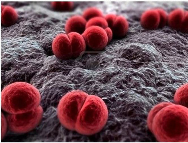 Hà Nội: Thiếu nữ mắc bệnh nguy hiểm lây qua đường hô hấp, 14 người liên quan bị cách ly-1