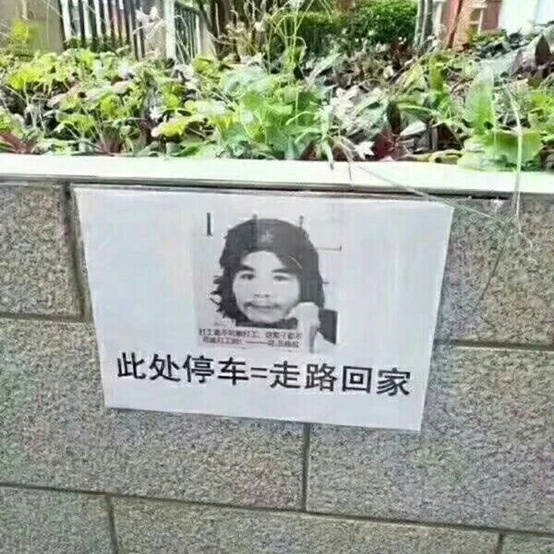 Lưới trời khó lọt: Tên trộm sa lưới chỉ vì đang say sưa hành nghề thì bất ngờ bị tào tháo đuổi”-4