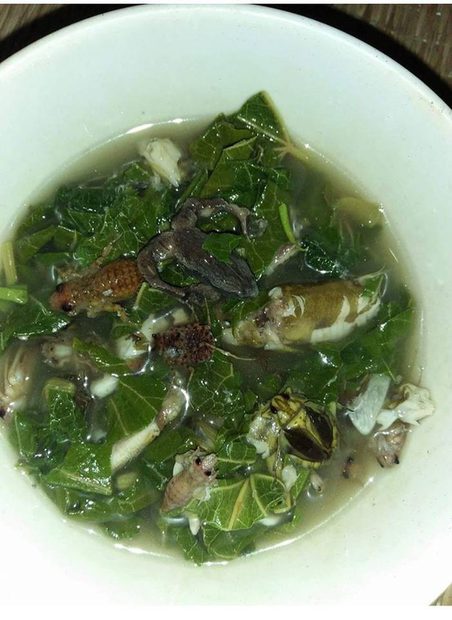 Dân mạng xôn xao trước bát canh ếch nhái, côn trùng nguyên con nấu lá đu đủ, người sợ người khen ngon-2