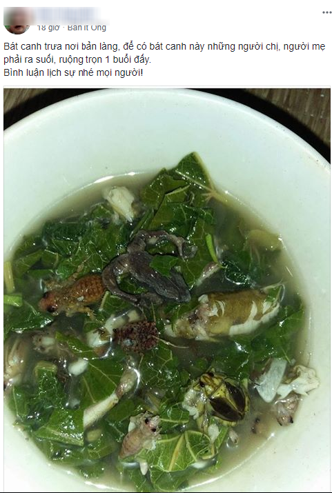 Dân mạng xôn xao trước bát canh ếch nhái, côn trùng nguyên con nấu lá đu đủ, người sợ người khen ngon-1