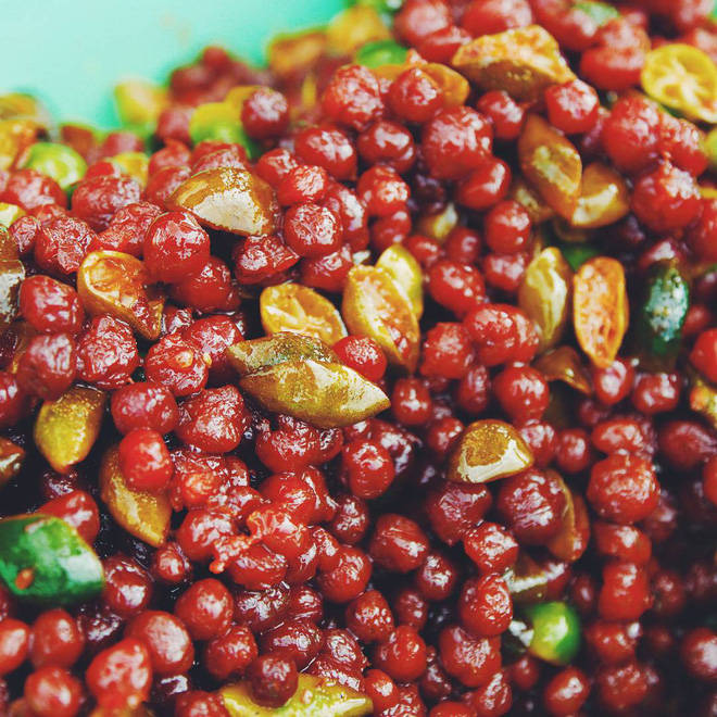 Những loại quả chua dân dã nhưng đã gieo tương tư cho biết bao thế hệ-25