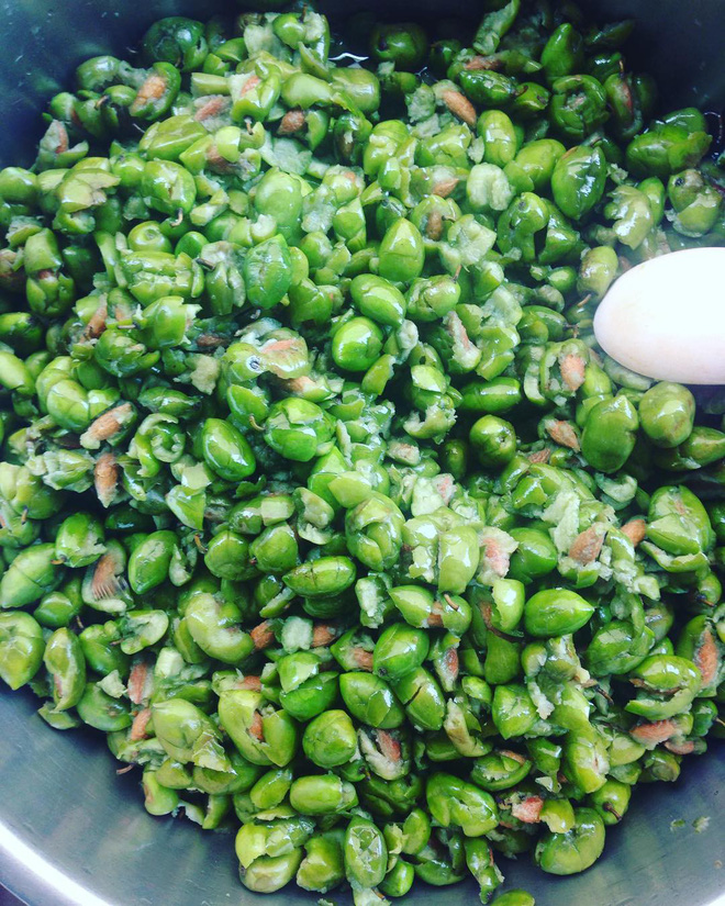 Những loại quả chua dân dã nhưng đã gieo tương tư cho biết bao thế hệ-28